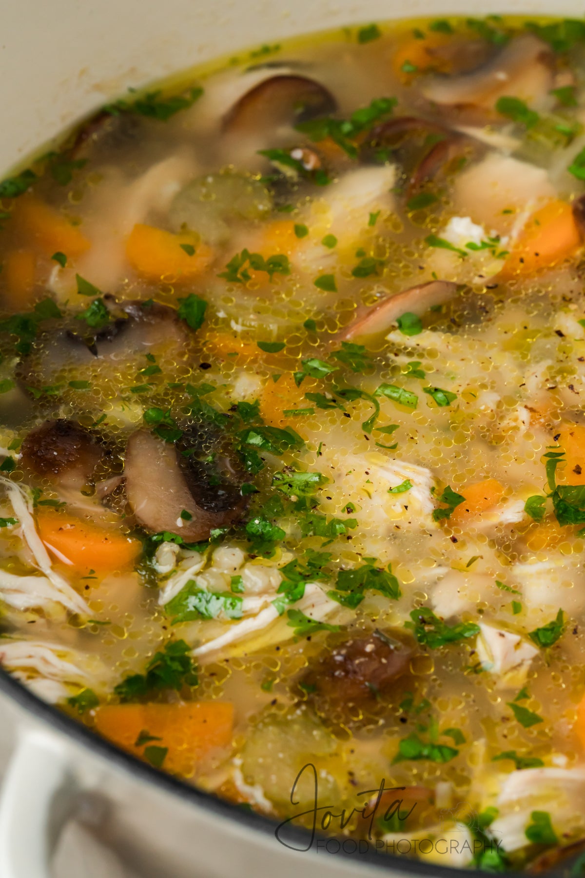 Chicken and Barley Soup