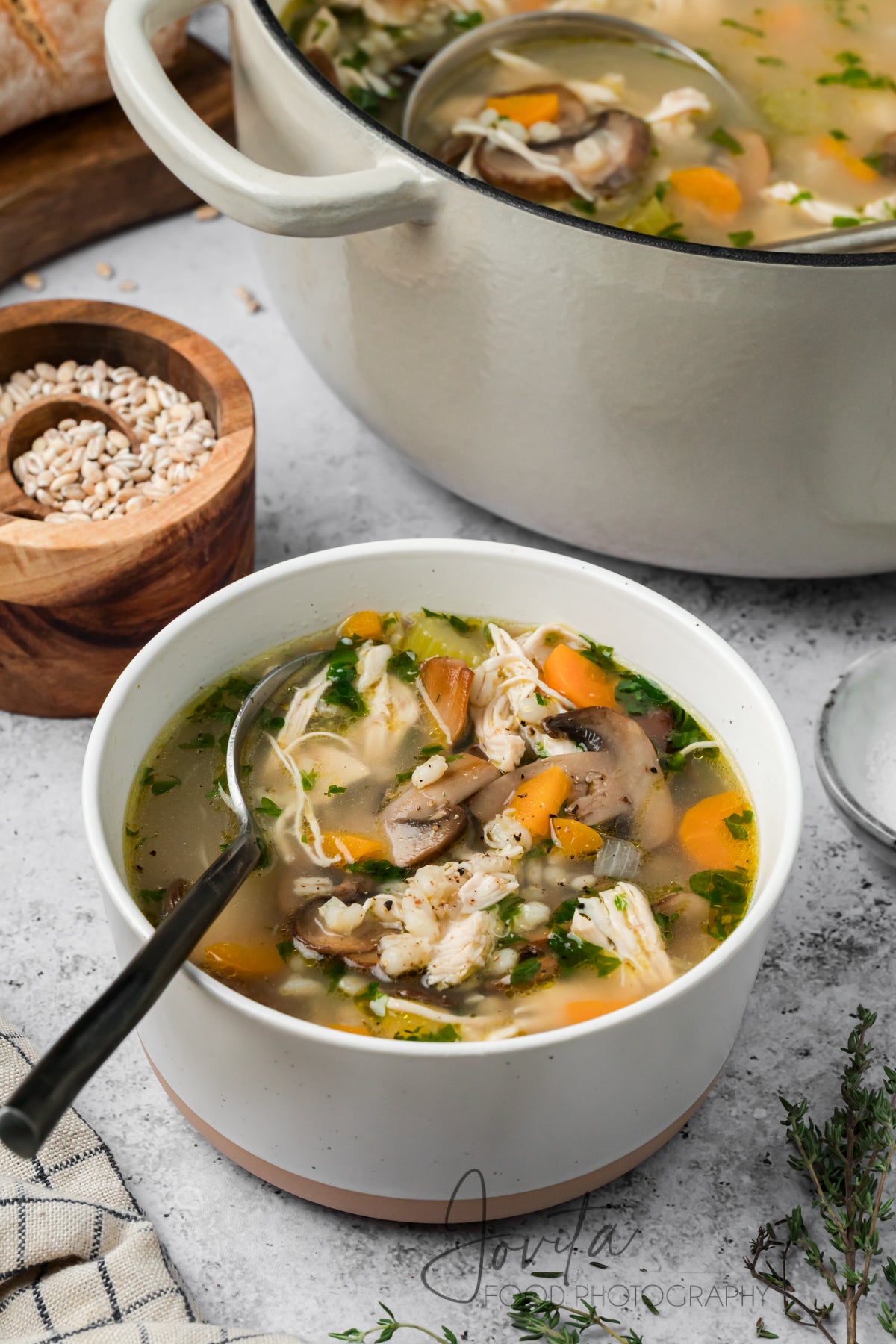 Chicken and Barley Soup