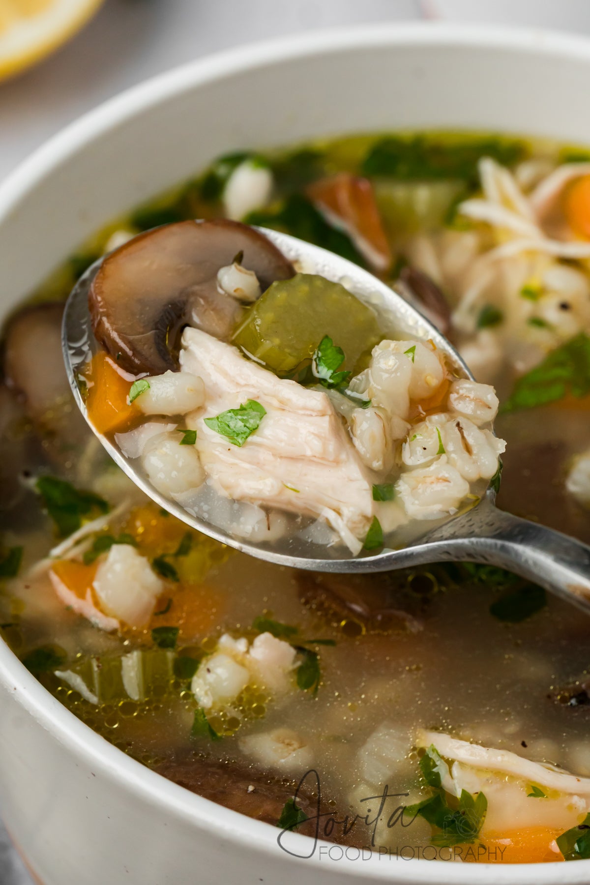 Chicken and Barley Soup