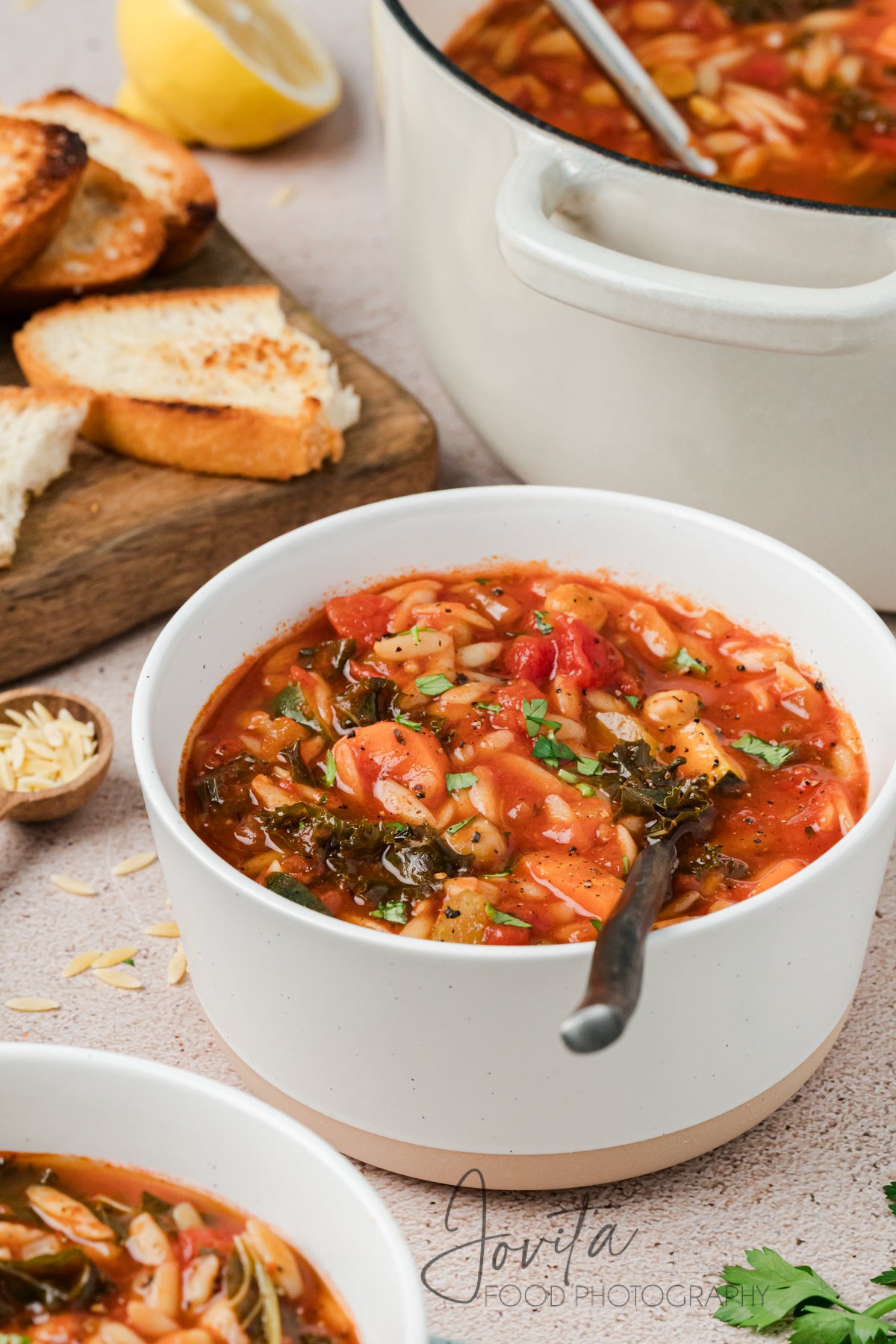 Vegetable Orzo Soup