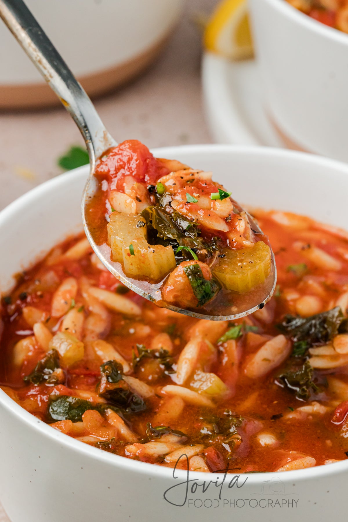 Vegetable Orzo Soup